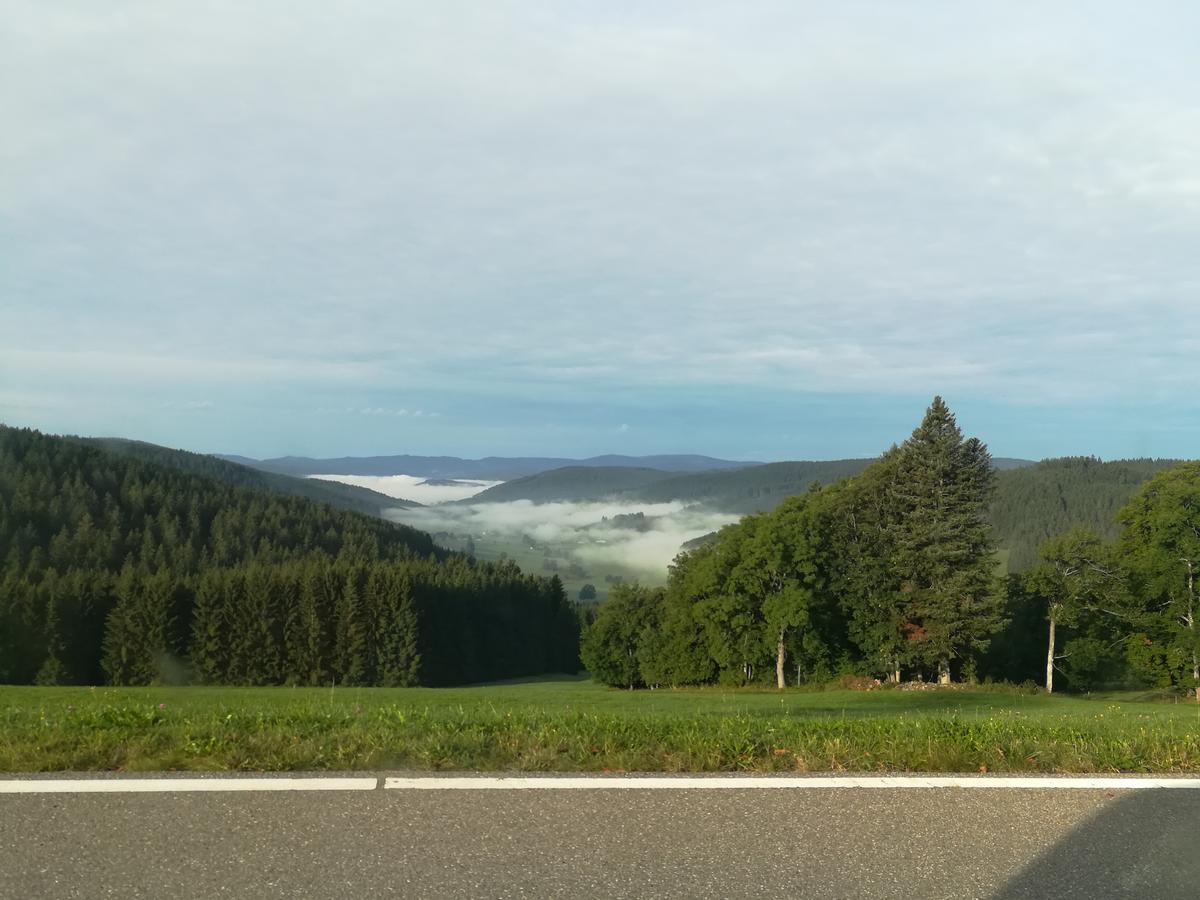 Pension Forsthaus Täle Titisee-Neustadt Exterior foto
