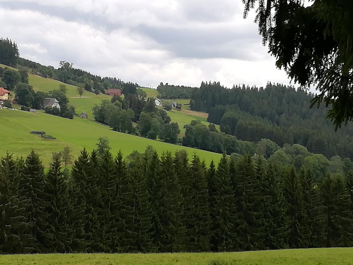 Pension Forsthaus Täle Titisee-Neustadt Exterior foto